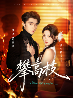 攀高枝（70集）短剧精彩推荐