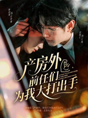 产房外，前任们为我大打出手（79集）短剧太精彩了