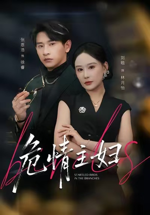 危情主妇（60集）短剧太好看了