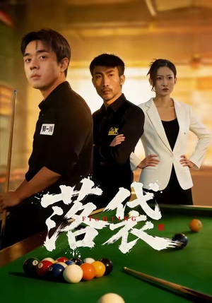 落袋（32集）全集在线看