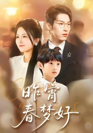 昨宵春梦好（90集）短剧解说全集