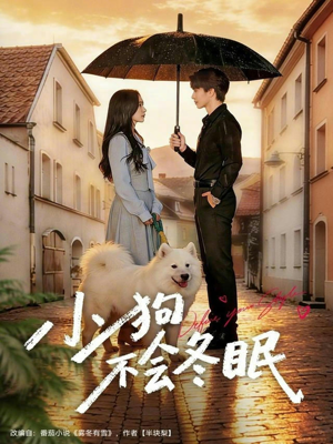 小狗不会冬眠（70集）分享好看的短剧