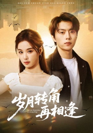 岁月转角再相逢（80集）热播短剧免费看