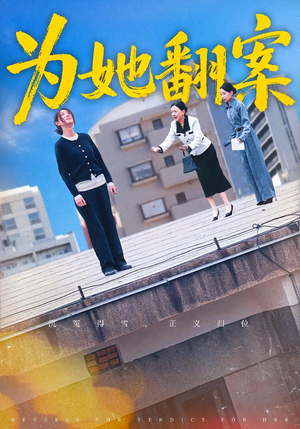 为她翻案（40集）全剧免费观看