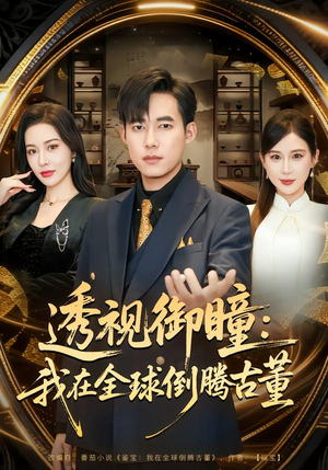 透视御瞳：我在全球倒腾古董（80集）在哪个平台能看