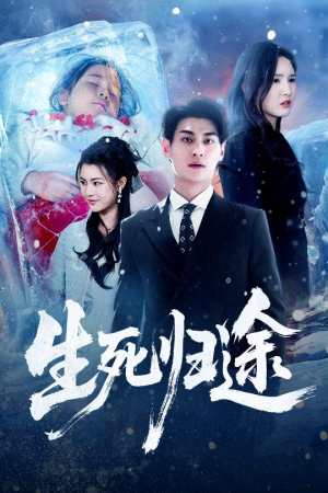 生死归途（50集）全集都在这里了