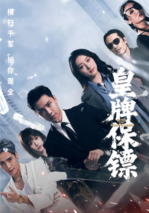 皇牌保镖（66集）热播古装短剧