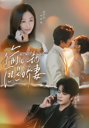 偷“心”劫匪是娇妻(61集) 偷“心”劫匪是娇妻(61集)我真的爱了