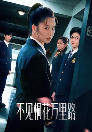 不见桐花万里路（71集）最热短剧推荐