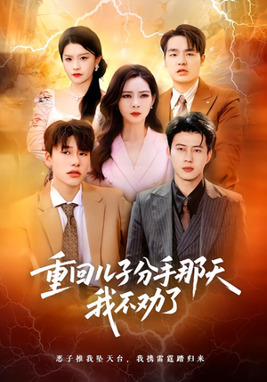 重回儿子分手那天，我不劝了（28集）剧情简介