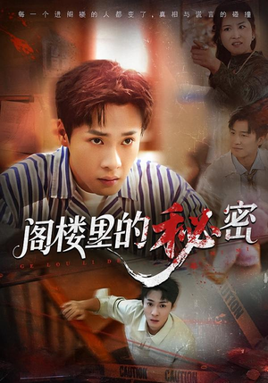 阁楼里的秘密（76集）每日短剧追不停