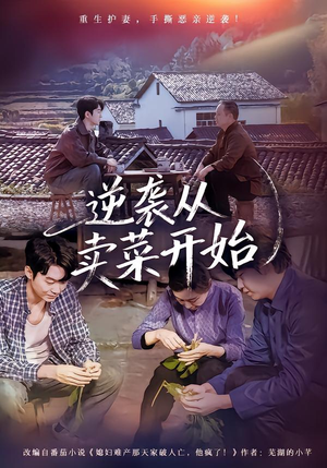 逆袭从卖菜开始（72集）口碑爆棚免费看