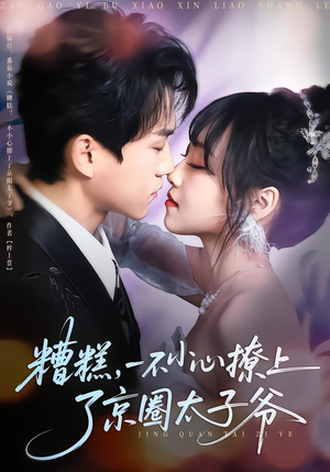 糟糕，一不小心撩上了京圈太子爷（65集）最火短剧推荐