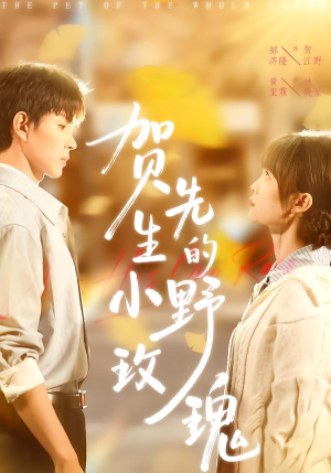 贺先生的小野玫瑰（99集）火热短剧抢先看