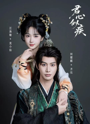 君心似疾（80集）短剧小说在线看